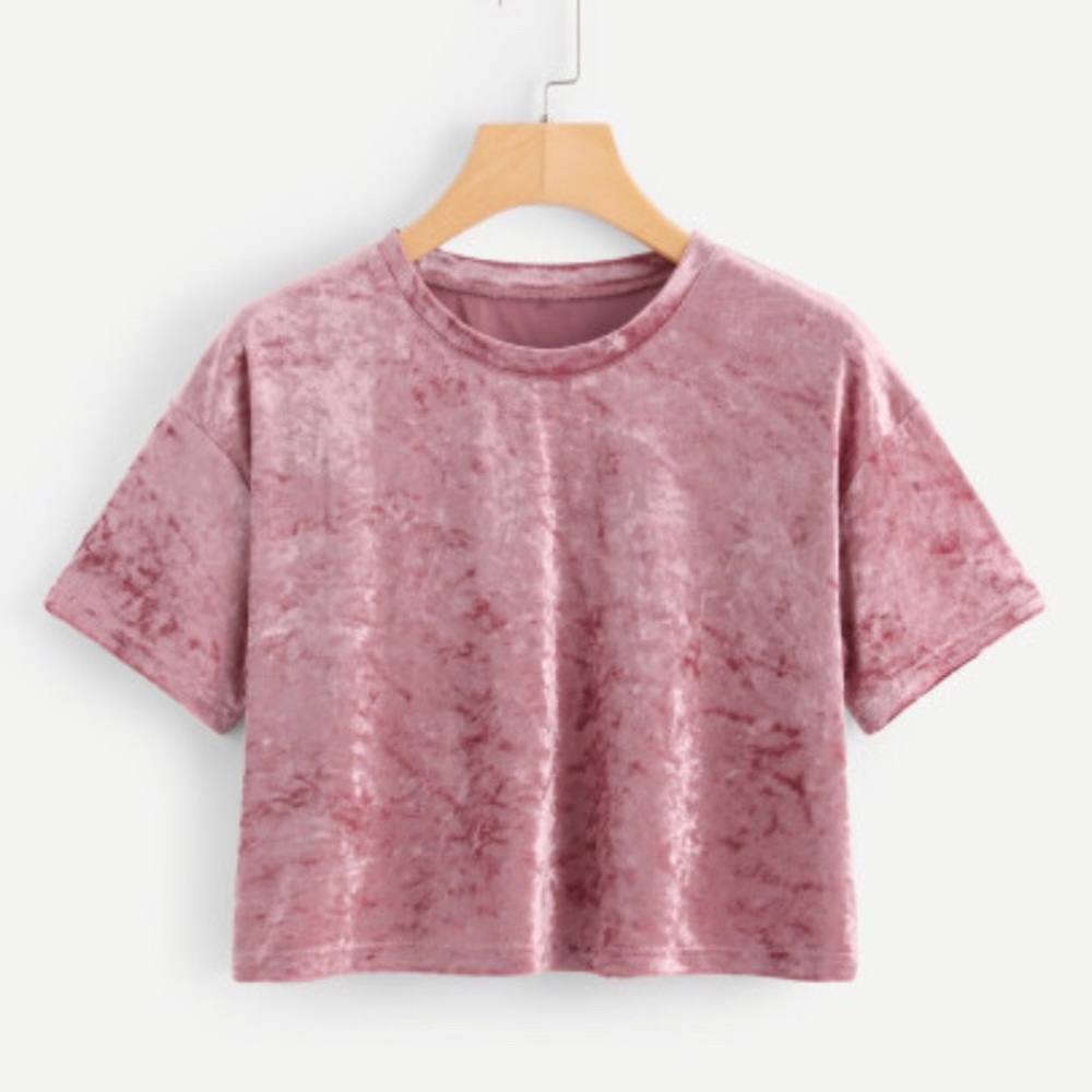 SALE ‼️ Crush velvet pink crop top